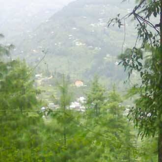 Karan Kutir Homestay, Shimla 2